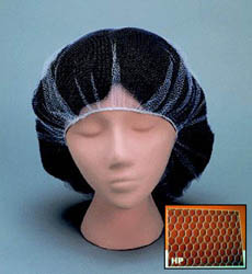 109HPIhairnet.jpg