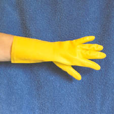 2312dishglove.jpg