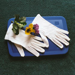 440cottongloves.jpg